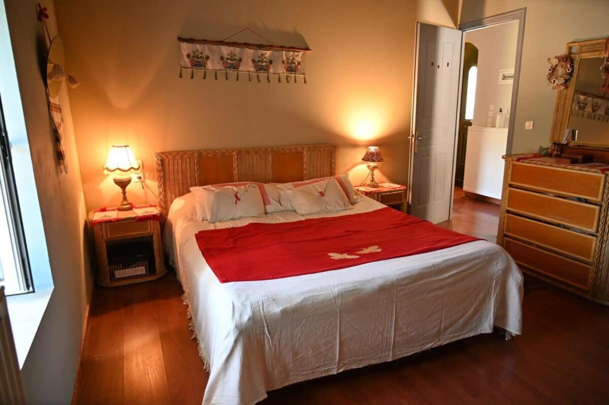 Kalavrita Winter Retreat - Homely Spacious Chalet Ano Vlasia Luaran gambar